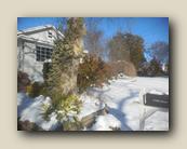 Winter 2024 020.jpg